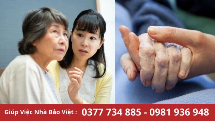Trung tâm Bảo Việt cung cấp dịch vụ chăm sóc người già bệnh Lâm Đồng.